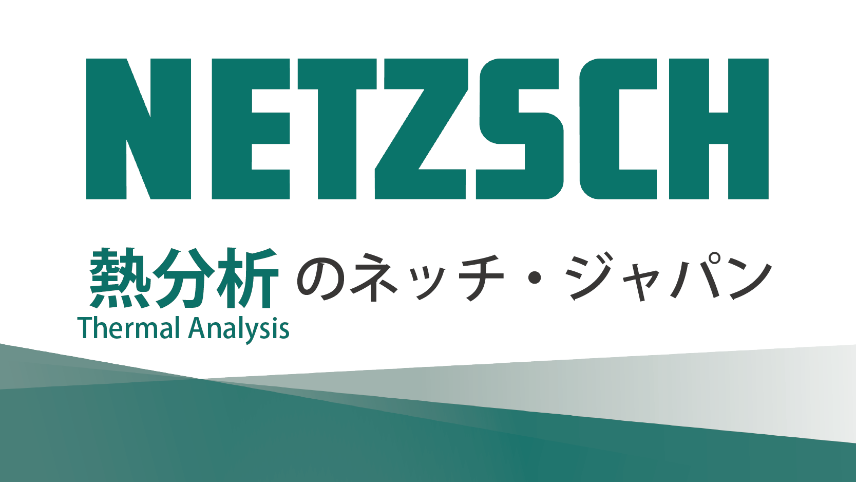 ネッチ・ジャパン株式会社