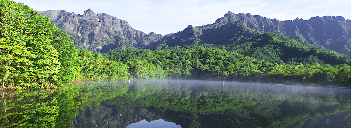 夏の鏡池
